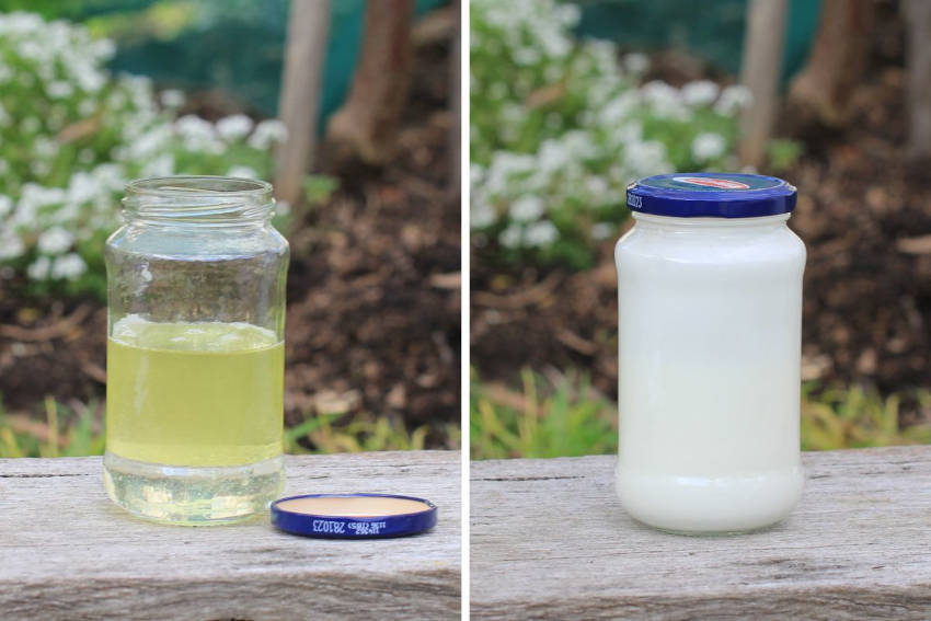 DIY White Oil The Seed Collection